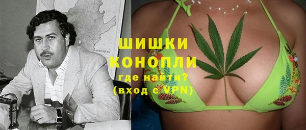 гидра Алексин
