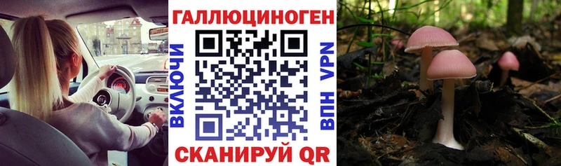 мега как зайти  дарнет шоп  Межгорье  Псилоцибиновые грибы Cubensis 